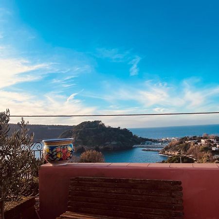 Sole Chiaro Home Procida Exterior foto